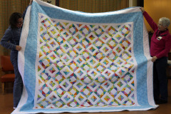 donnas-summer-garden-machine-pieced-and-hand-quilted_40121960761_o