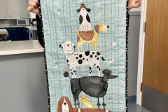 christine-bell-baby-quilt-and-dog-wall-hanging_52680505400_o