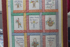 49357627697_d5213b172a_o