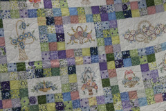 49357648107_ca0b221de6_o