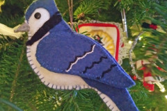 blue-jay-donna-v_50776227896_o