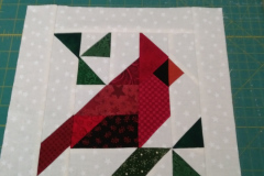 cardinal-block-donna-v_50776238586_o