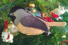 chickadee-donna-v_50775469843_o
