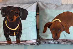 indy-and-allie-mini-applique-pillows-made-by-jill-g_50795492001_o