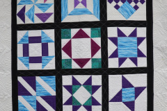 killer-free-motion-skill-builder-sampler-quilt-pieced-and-quilted-by-sandy-l_50795879728_o