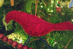 redbird-donna-v_50776227871_o