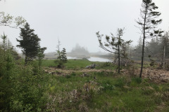 morning-fog-photos-taken-on-heckmans-island-by-laurie-swim_51229204178_o