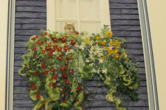 cat-in-the-window_17267267650_o