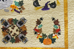 41348711572_8458faed13_o