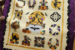 41348711842_9d48193729_o