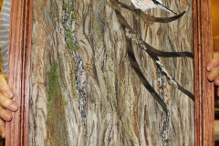 chickadee_24375718318_o