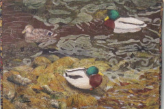 cathys-ducks_49647740501_o
