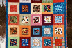 debbie-b-play-quilt-for-debbies-first-great-nephew-machine-pieced-nd-machie-quilted_51919962729_o