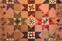 sandy-r-my-stars-from-the-guild-sew-along_51154306603_o sandy-r-my-stars-from-the-guild-sew-along_51154306603_o