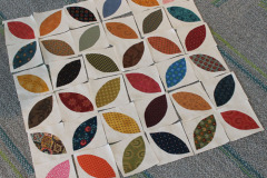 gails-orange-peel_40343411150_o