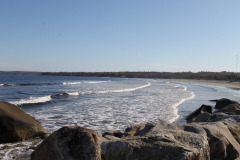 just-cant-get-enough-of-this_40343278270_o