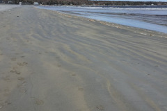 looking-back-from-the-beach-to-the-quarterdeck_40342742370_o