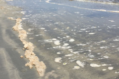 the-waves-just-kept-rolling-in_42149476951_o