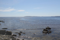 more-watersorry_47678015281_o