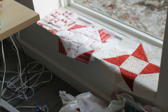 pams-work-in-progress_50625105836_o