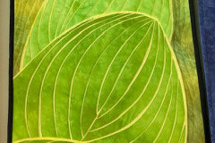 hosta-made-by-christine_50796660031_o