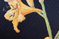 lilys-lillies-made-by-pam-detail_50795910533_o