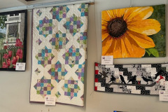 quilts-made-by-members-krista-annette-pam-and-christine_50795897033_o
