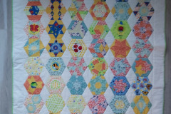 jan-s-my-baby-quilt-from-the-big-book-of-baby-quilts-from-the-new-hexagon-pattern-machine-pieced-and-machine-quilted-by-jan_50558970186_o