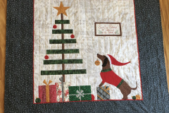 pam-w-santa-paws-is-coming-to-town_50559135082_o