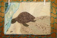 marilyns-sea-turtle_22010800962_o