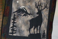 22033117381_cdfd05ef43_o