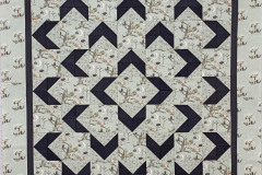 spice-rack-a-missouri-star-pattern-made-by-eldora-machine-pieced-top_51543012544_o spice-rack-a-missouri-star-pattern-made-by-eldora-machine-pieced-top_51543012544_o