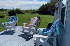 elizabeths-show-in-pei_52255899228_o