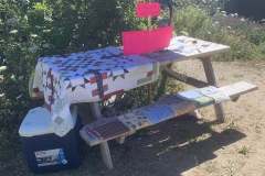 heather-sanfts-quilts-at-the-lunenburg-county-winery_52256401700_o