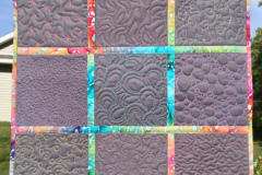 free-motion-quilting-sampler-debbie-b_50341309338_o