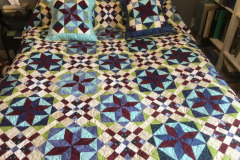 frolic-katina-chapman-machine-pieced-machine-quilted-by-tcl-studio-a-bonnie-hunter-mystery-quilt-with-over-3000-pieces_50330615411_o