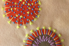 hand-embroidered-corona-virus-daphne-s_50326332748_o