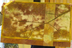 47557018161_fe76c93af6_o