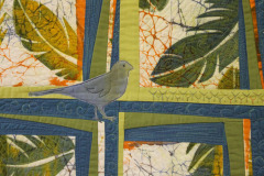 47557018511_ab6e4792f8_o