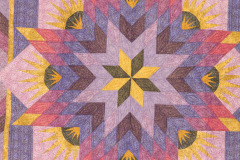 summer-solstice-detail_14144756353_o